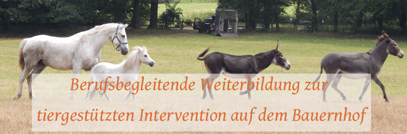 Ausbildung tiergestützte Intervention mit Bauernhoftieren